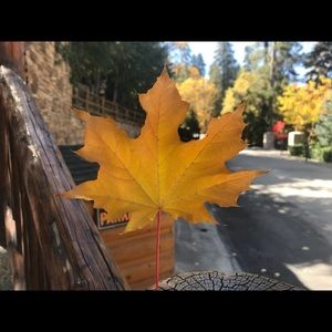 Meet your Posher, Chtistine